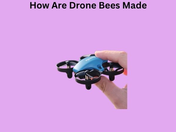 How Are Drone Bees Made